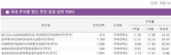 한한령 해제 기대감에 엔터株 '불기둥'…ETF 수익률 '싹쓸이'