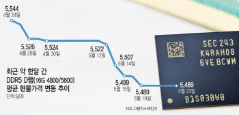 "관세發 사재기 수요 끝물"…DDR5 D램값 떨어진다