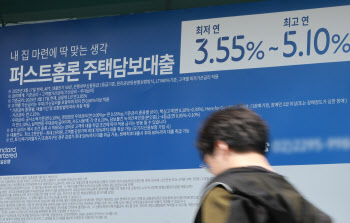 고개 드는 3단계 DSR 유예론