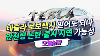 테슬라 로보택시 믿어도 되나…안전성 논란·출시 지연 가능성