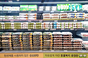 이랜드킴스클럽, 계란 한 판 6990원에 판다