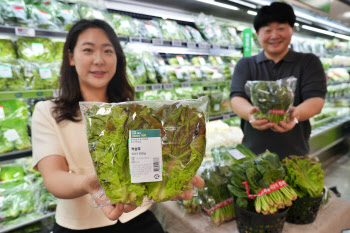 "폭염 영향 없다"…롯데마트, 상추·시금치 가격·품질 잡은 비결은