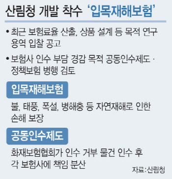"리스크 크다" 손보사 반발에도…'입목재해보험' 압박하는 정부