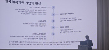 "스테이블코인이 블록체인 기술 개발 마지막 기회"