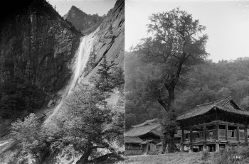 국립수목원, 광복 80주년 기념 100년전 기록 '금강산 사진전'