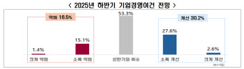 기업 30% "하반기 경영여건 개선"…내수 부진은 리스크