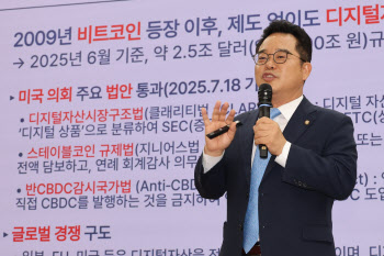 '원화 스테이블코인' 군불때는 與..STO법은 내달 처리