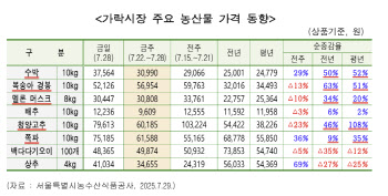 “최대 60% 올라”…복숭아·수박·청양고추 金값 됐다