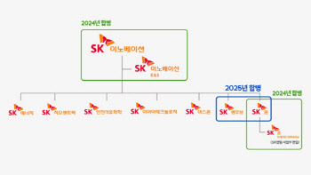 SK, 사업·재무 리밸런싱 '신호탄'…SK온·SK엔무브 합병(종합)