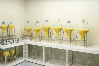Bio FD&C, Curocell, ST Pharm Surge on Commercialization Gains[K-Bio Pulse]