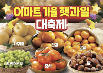 "가장 맛있는 제철" 이마트, 가을 햇과일 50% 할인