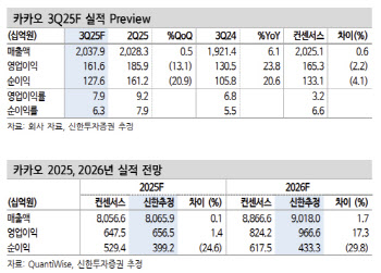 카카오, AI 검색 도입 효과 기대-신한