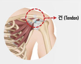 美2상 개시 앞둔 테고사이언스, TPX-115로 1200억 매출 목표