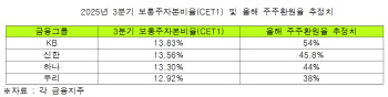4대 금융 "자본적정성 충분하다"…주주환원율 50% 시대 순항