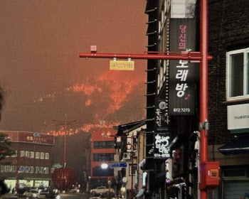 "산소에 불 붙였다가" 26명 사망…'경북 산불' 발화자 "실화 인정"