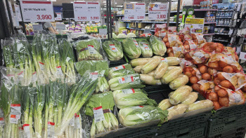 "김장재료 어디서 살까"…유통가, 김장철 할인행사