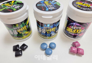 "껌값이라 무시 말아요"…롯데웰푸드, 초콜릿보다 마진율 높은 ‘껌’에 힘준다