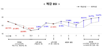 소비쿠폰 효과…10월 '소상공인 경기지수' 5년래 최고