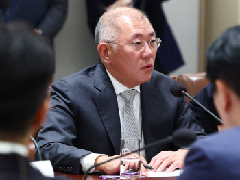 현대차그룹, R&D·경상 투자에 5년간 74.7조 투입