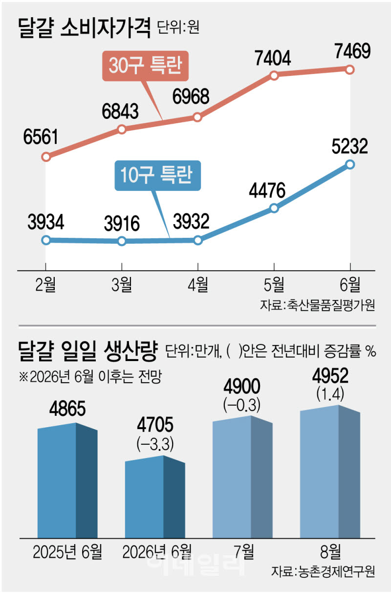 [이데일리 김정훈 기자]