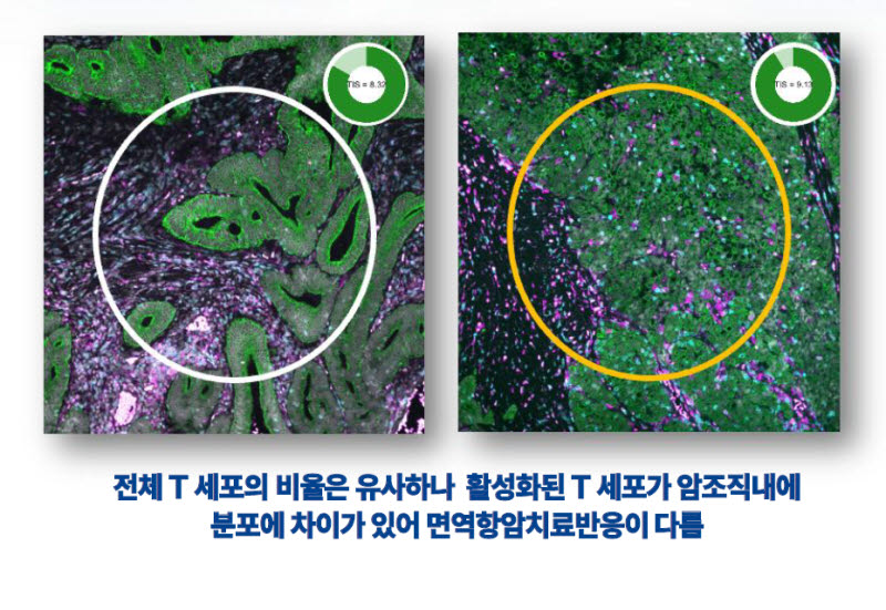 (제공=지니너스)
