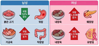 한국 성인의 육류 섭취와 암 사망률 간의 연관성 (GEMINI 이미지).