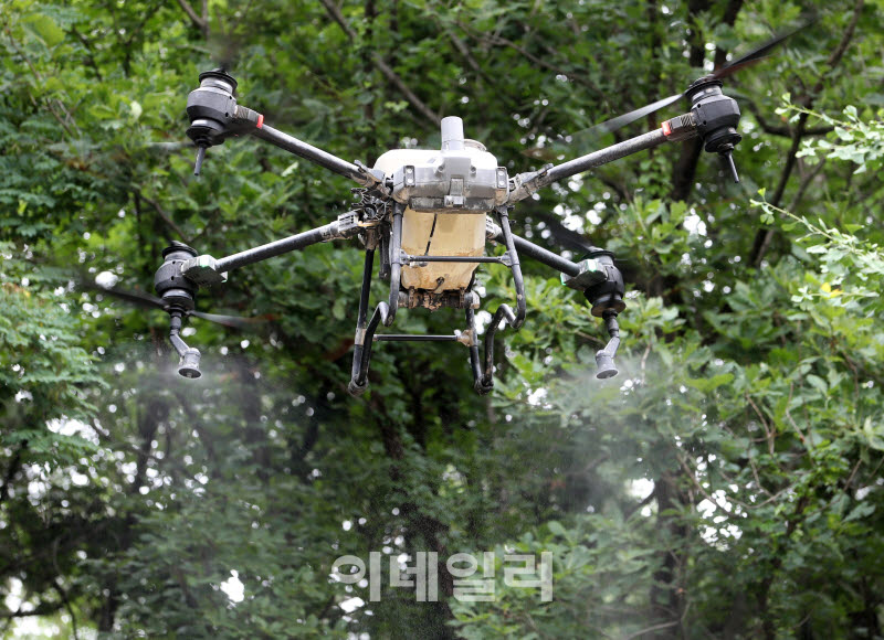 [포토] 러브버그 방제