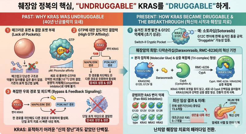 췌장암 연구 이미지.