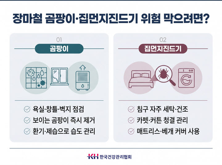장마철 실내 알레르겐 주의보, 곰팡이·집먼지진드기 관리법은?