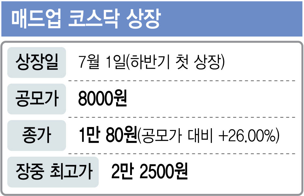 매드업 코스닥 상장 개요. (그래픽=이미나 기자)