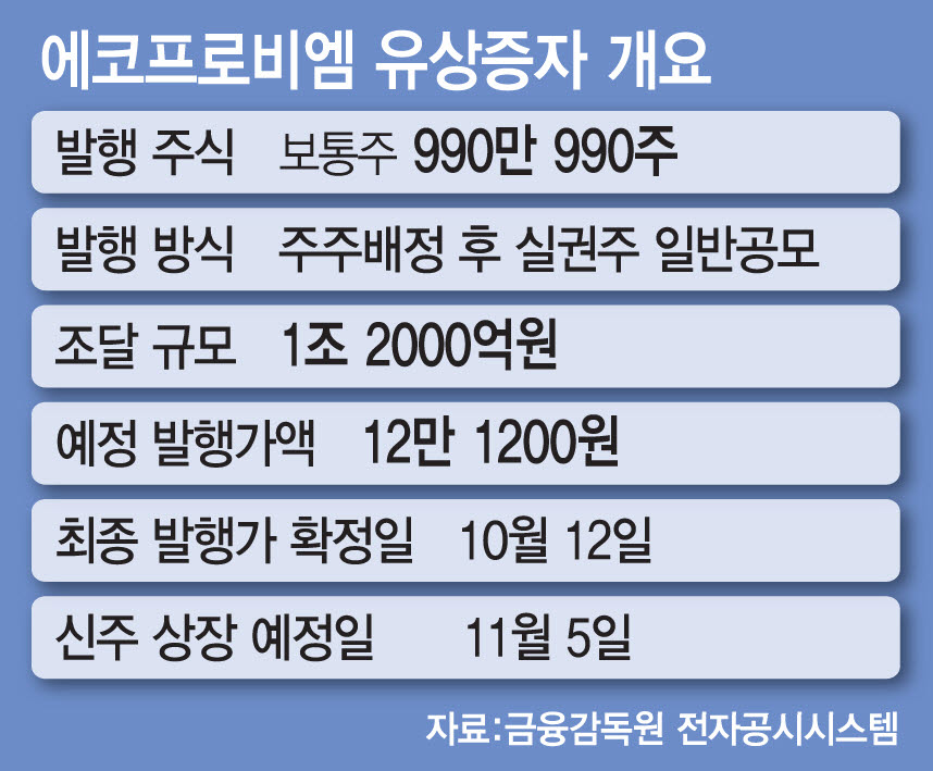 에코프로비엠 유상증자 개요. (그래픽=문승용 기자)