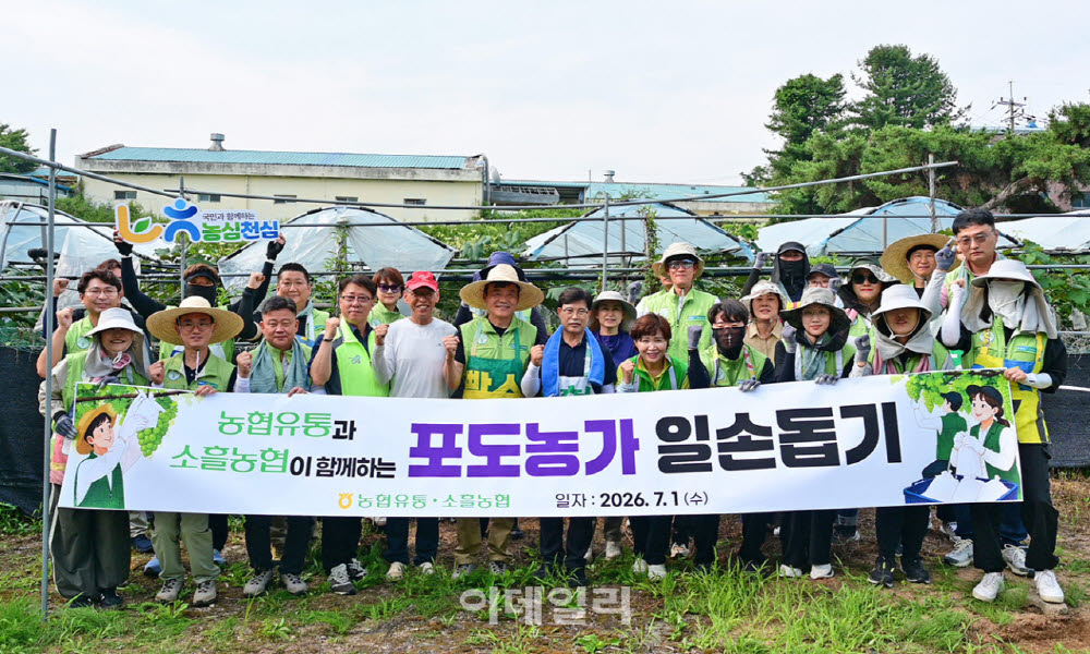 [포토] 농협유통, 포천 포도농가 일손돕기