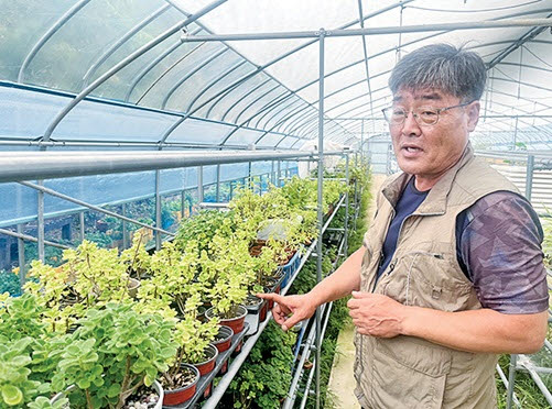 다온영농조합법인 양홍수 대표가 농장을 소개하고 있다.(사진=서대웅 기자)