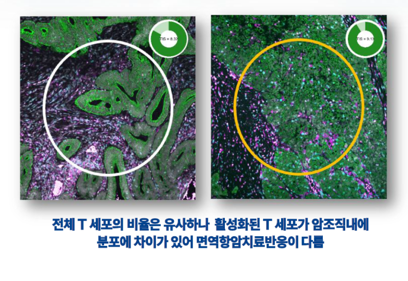 (제공=지니너스)