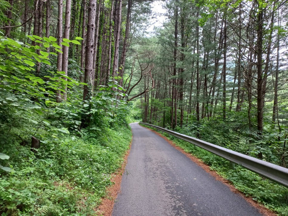 봉화 고선계곡.(사진=봉화군)