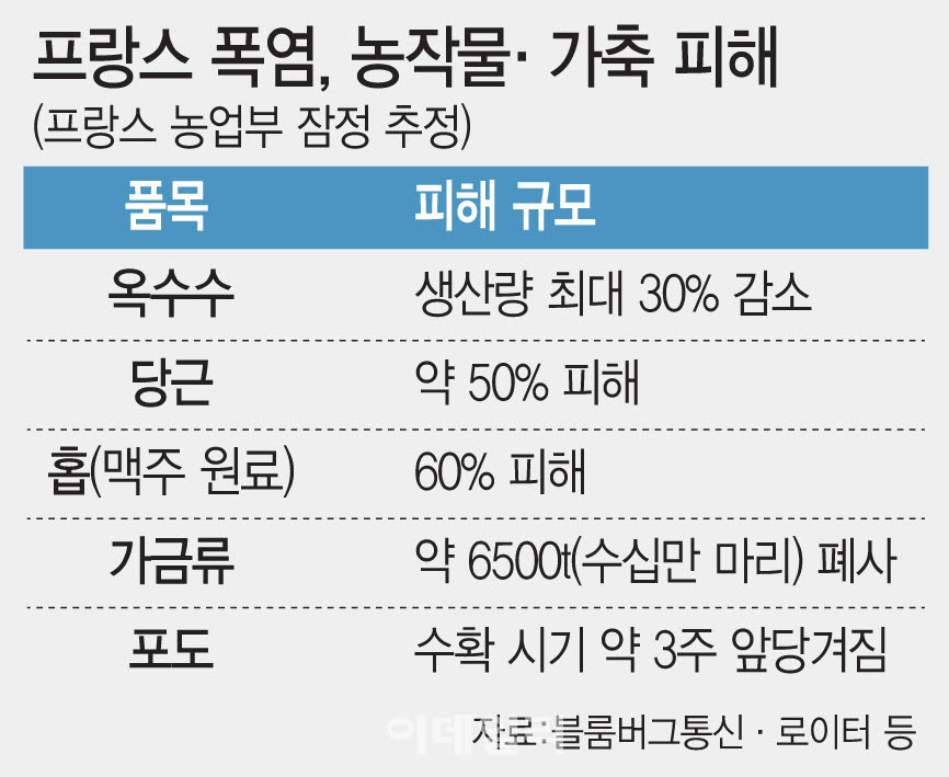 [이데일리 문승용 기자]