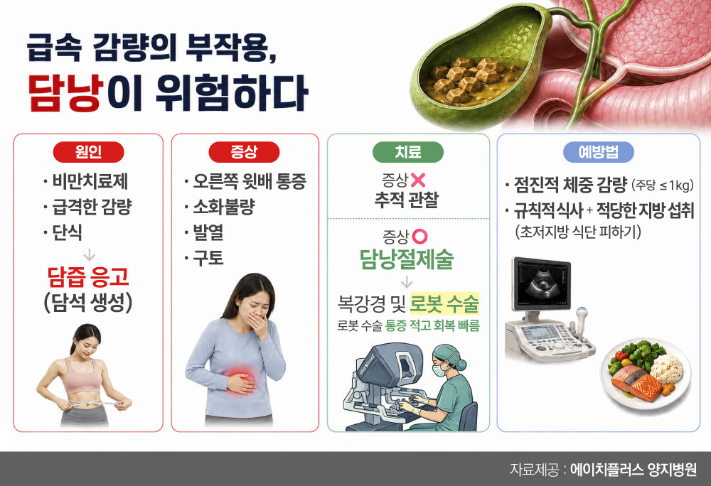 급격한 체중 감량이 담석증 부르는 이유가 있네