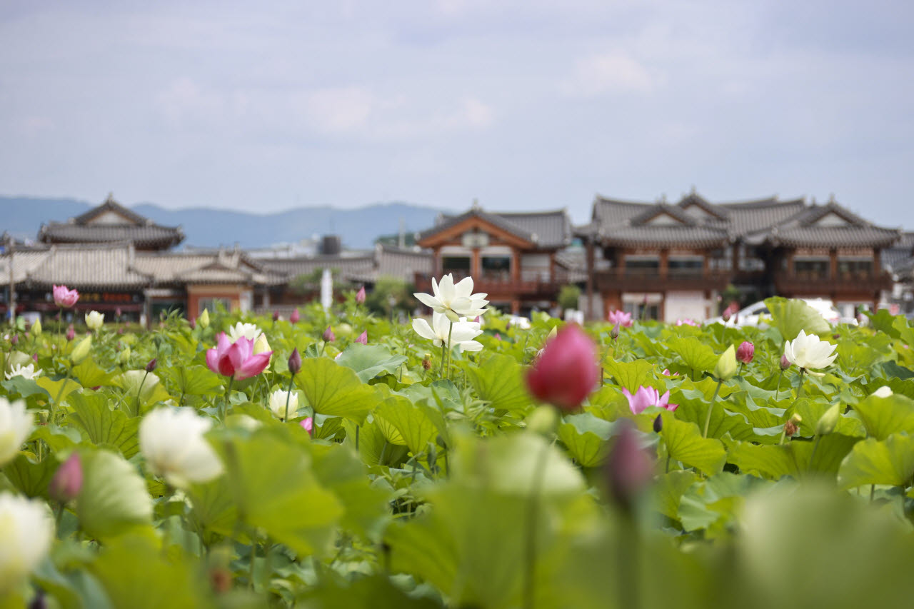 사진=경주시