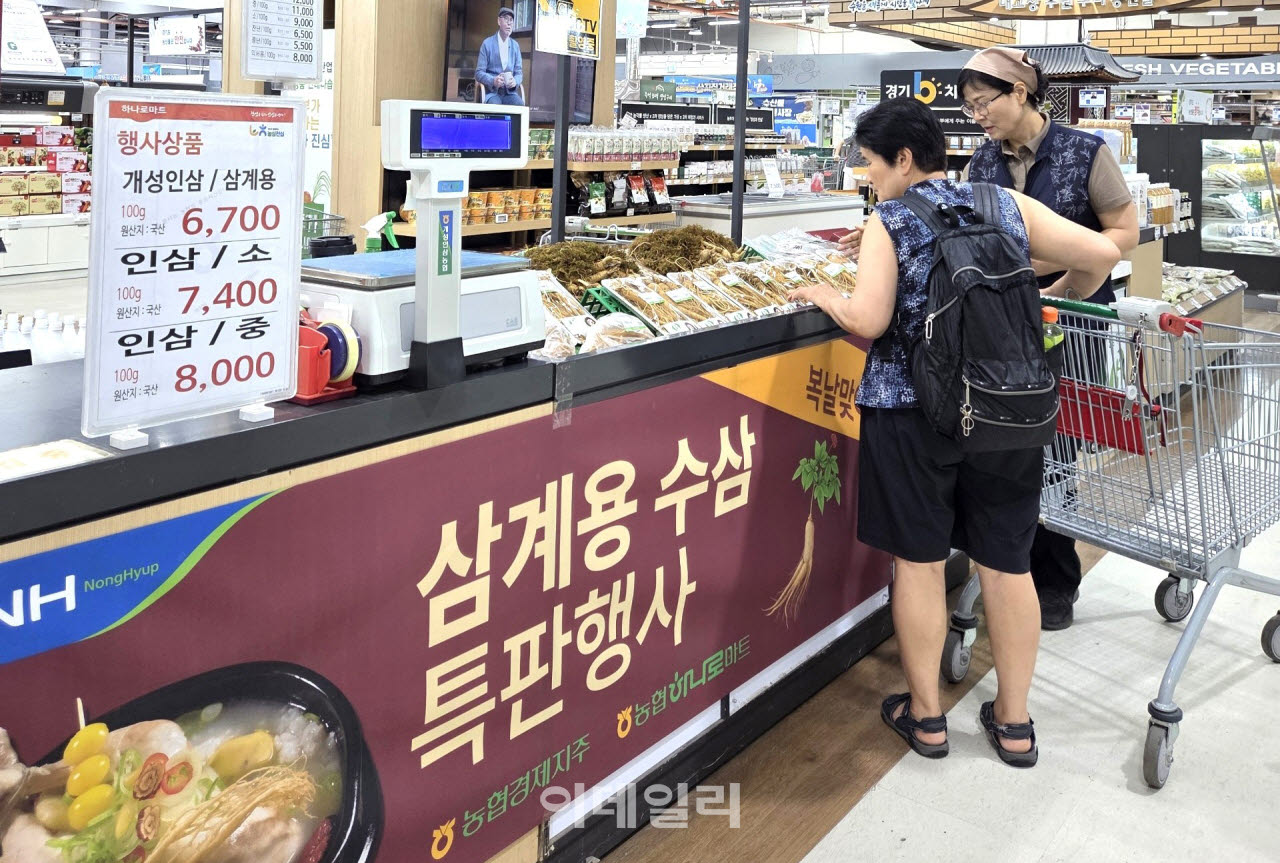 [포토] 농협, 삼계용 수삼 특별 할인 판매