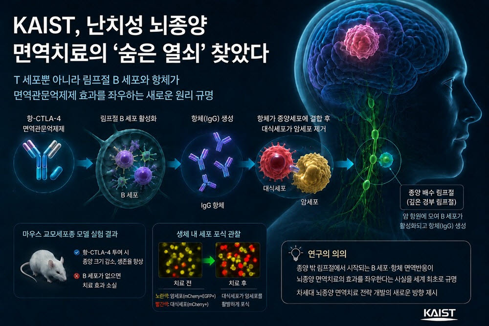 AI로 생성한 연구요약 이미지.(자료=KAIST)