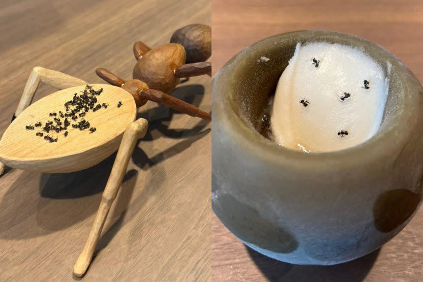 서울 강남구 신사동 소재 레스토랑에서 판매했던 개미 디저트(사진=채널A 보도화면 캡처)