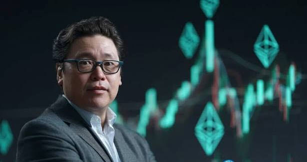 톰 리 비트마인 이사회 의장