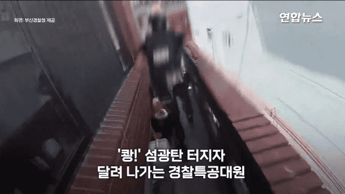 영상=연합뉴스