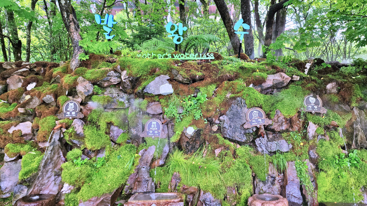 강원도 평창의 발왕산 케이블카타고 해발 1458m 발왕산 정상부. 이끼 낀 바위 사이로 시원한 물줄기가 솟아나는 발왕수 약수터가 자리하고 있다.