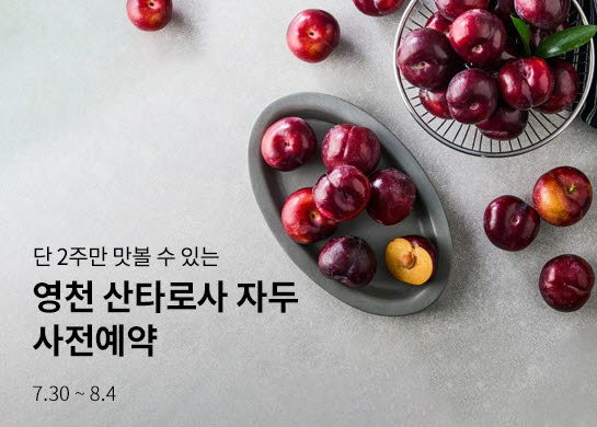 영천 산타로사 자두 사전예약 이미지. (사진=현대그린푸드)
