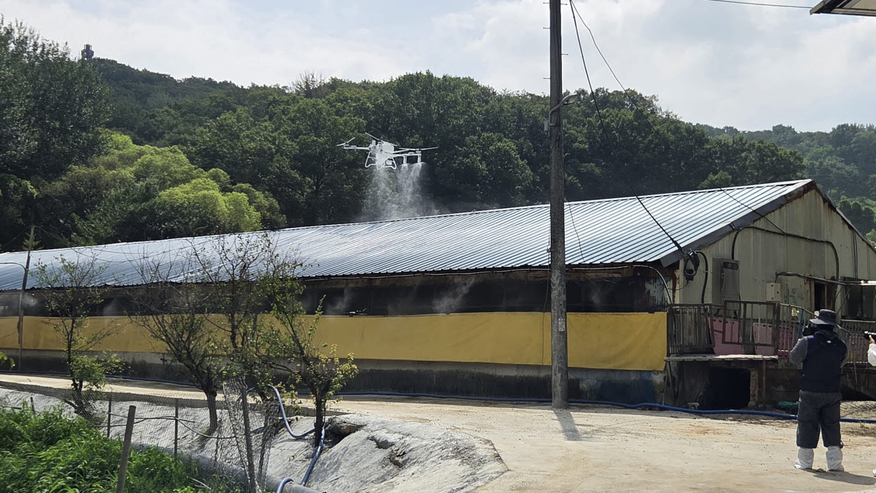 지난달 30일 세종시 전의면의 한 축산농가에서 드론이 축사 지붕에 열 차단 도포제를 살포하고 있다. (사진=농림축산식품부)