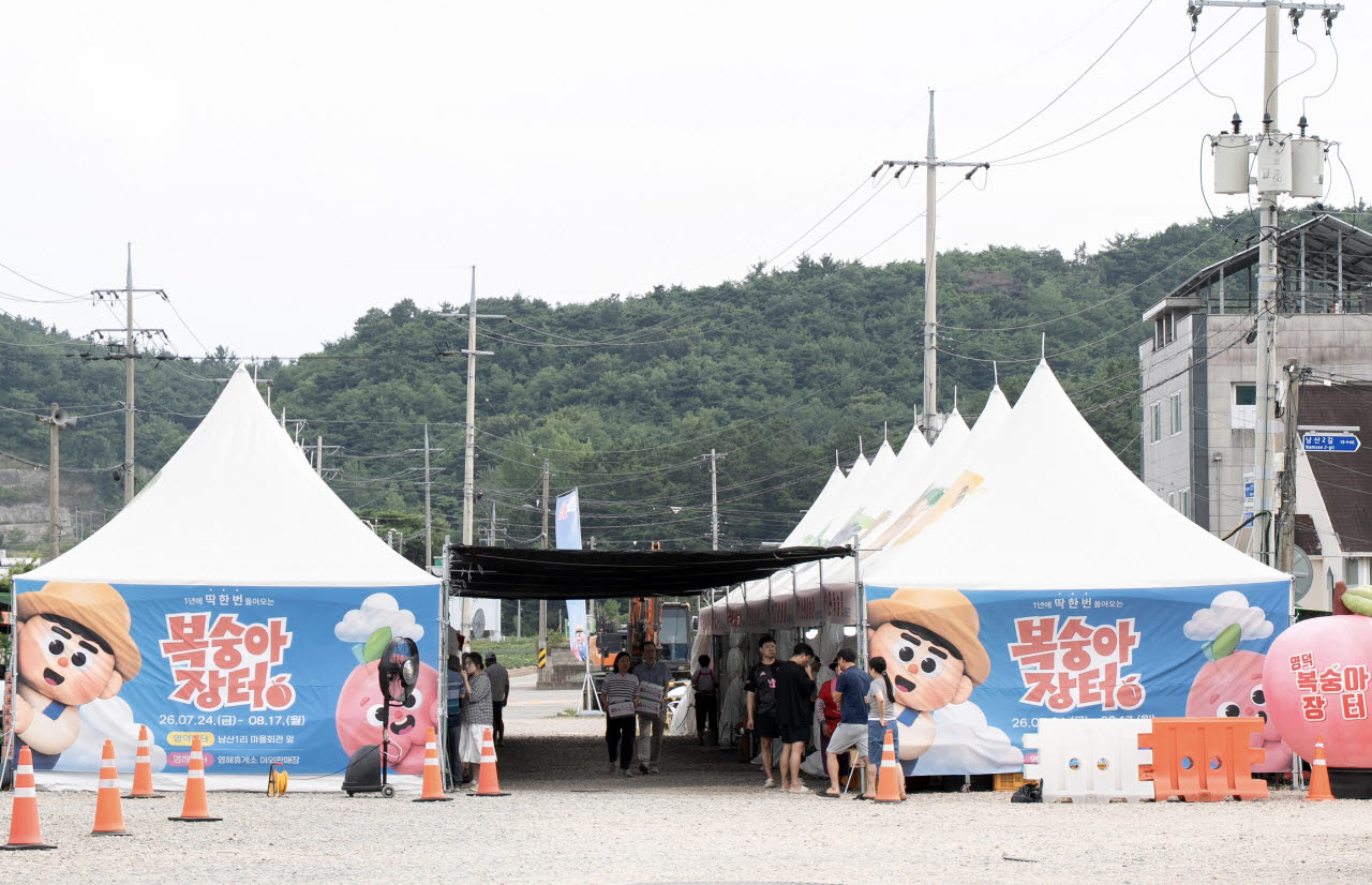 사진=영덕군