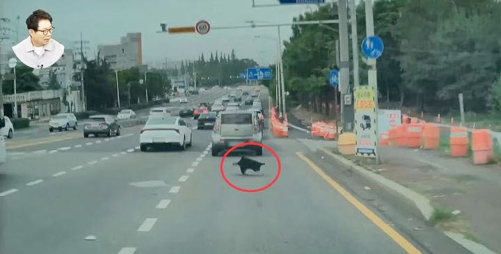 제보자 차량은 우산을 피하지 못한 채 그대로 밟고 지나갔고 결국 우산은 차량 바퀴에 끼며 차체 하부 일부 부품도 파손시켰다. (사진=유튜브 '한문철TV' 캡처)
