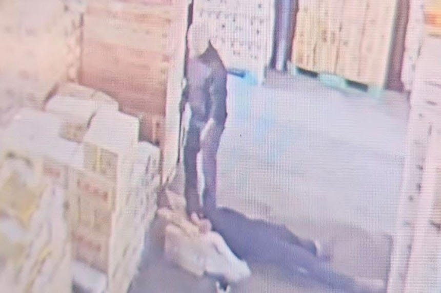 지게차서 추락한 직원.(사진=온라인 커뮤니티 CCTV 영상 캡처)