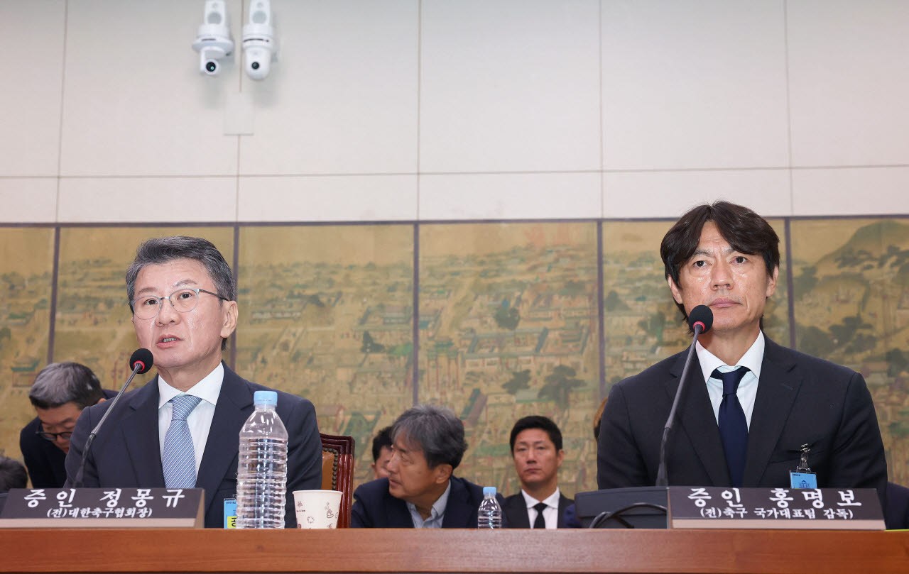 질의 답하는 정몽규 전 대한축구협회장.(사진=국회사진기자단/연합뉴스)
